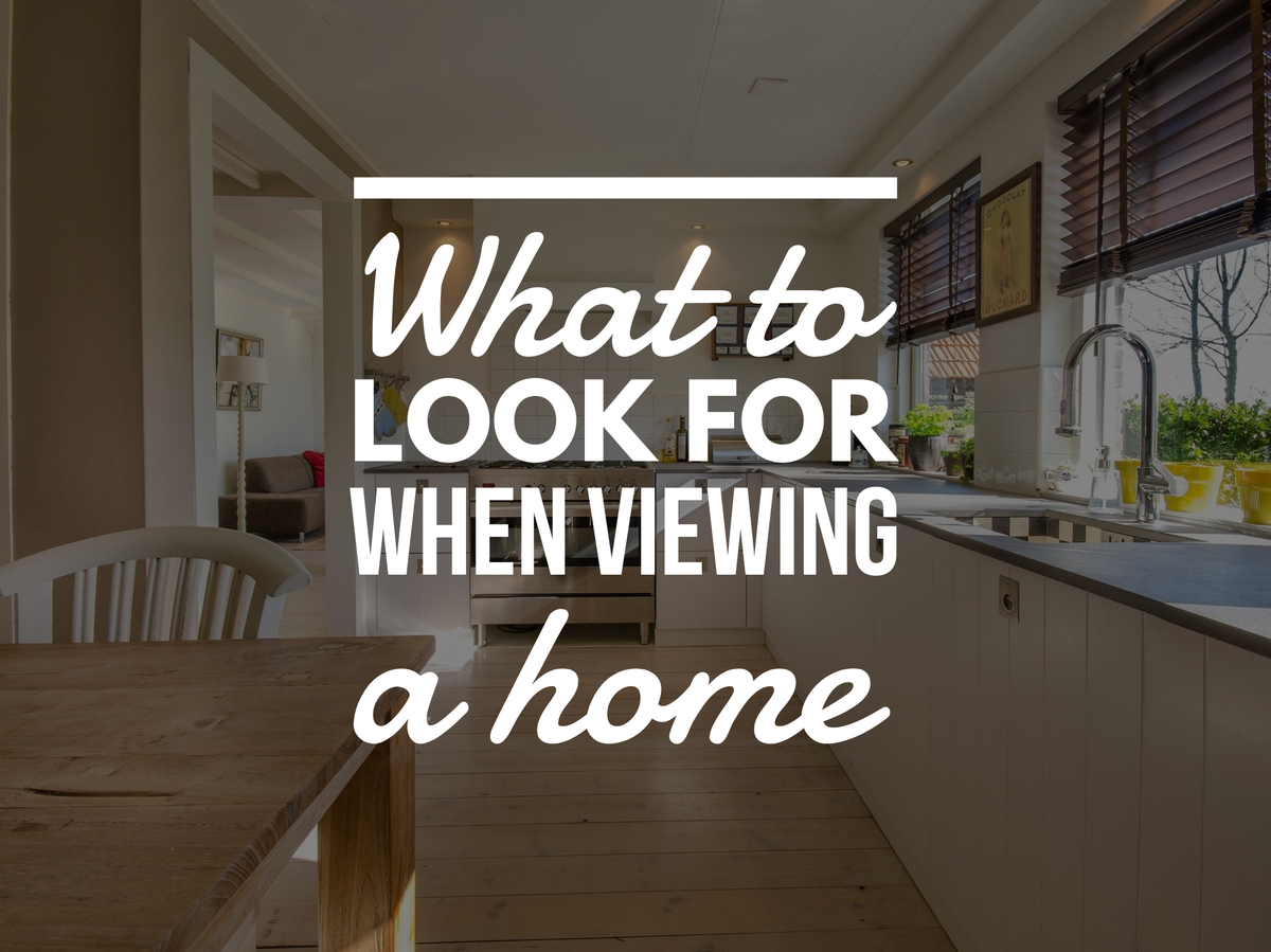 Content Club: What to look for when viewing a home